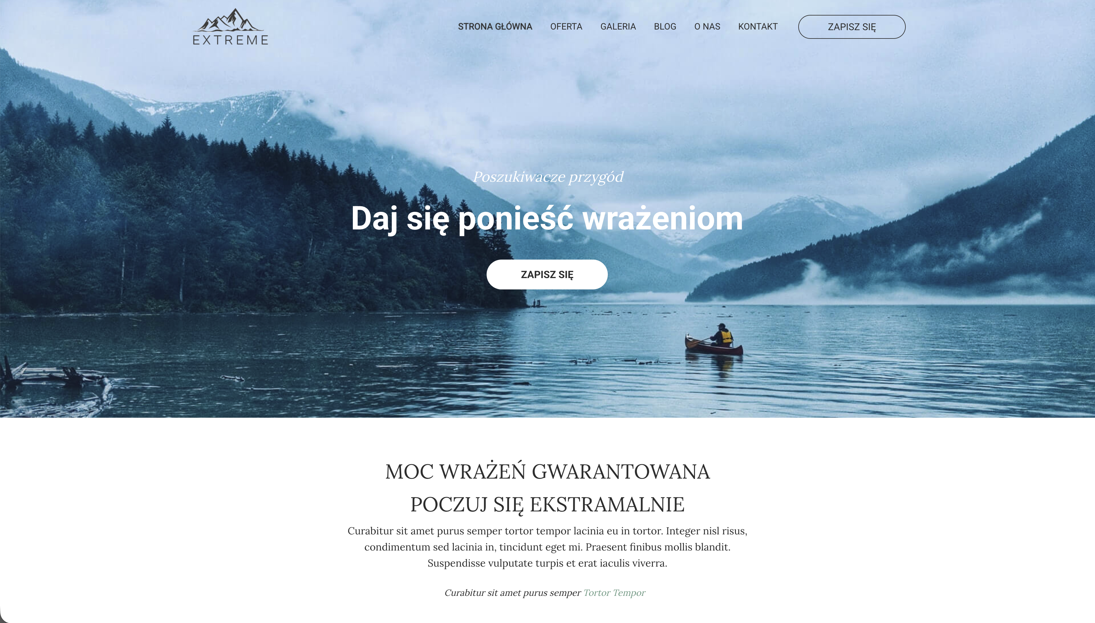 Website template